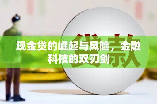 龙沙现金贷的崛起与风险，金融科技的双刃剑