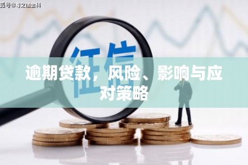 龙沙逾期贷款，风险、影响与应对策略