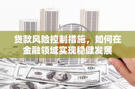 龙沙贷款风险控制措施，如何在金融领域实现稳健发展