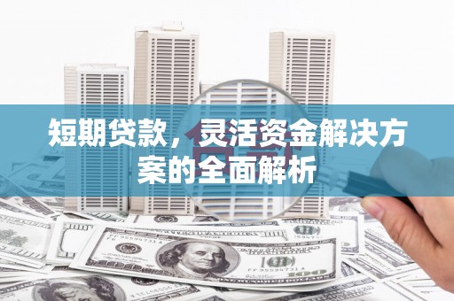龙沙短期贷款，灵活资金解决方案的全面解析