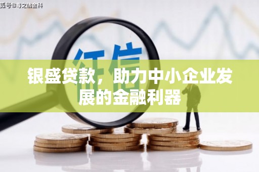 龙沙银盛贷款，助力中小企业发展的金融利器