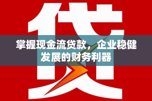 龙沙掌握现金流贷款，企业稳健发展的财务利器