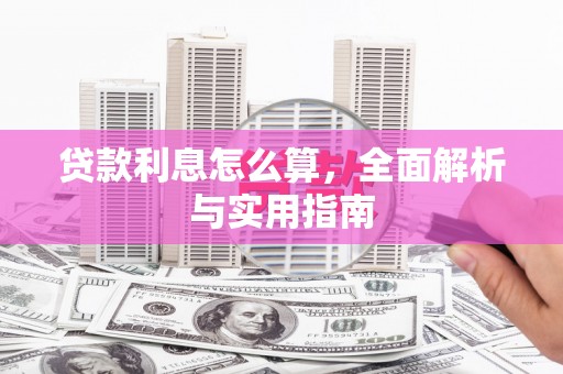 龙沙贷款利息怎么算，全面解析与实用指南