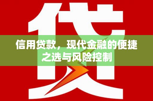 龙沙信用贷款，现代金融的便捷之选与风险控制