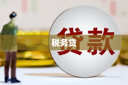龙沙税务贷