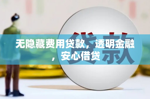 龙沙无隐藏费用贷款，透明金融，安心借贷