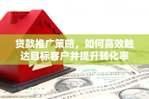 龙沙贷款推广策略，如何高效触达目标客户并提升转化率