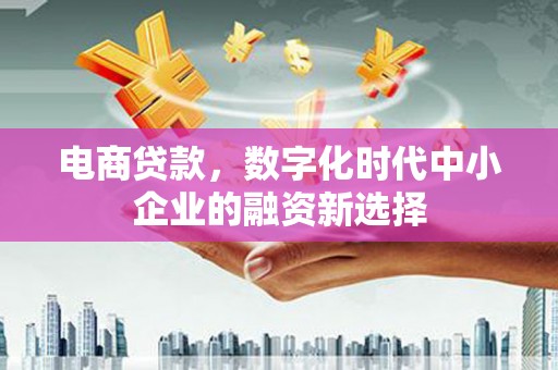 龙沙电商贷款，数字化时代中小企业的融资新选择
