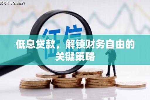 龙沙低息贷款，解锁财务自由的关键策略