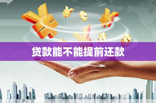 龙沙贷款能不能提前还款