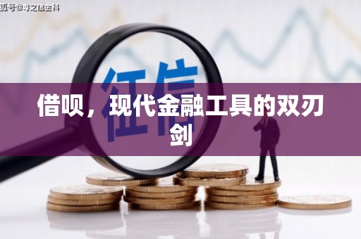 龙沙借呗，现代金融工具的双刃剑