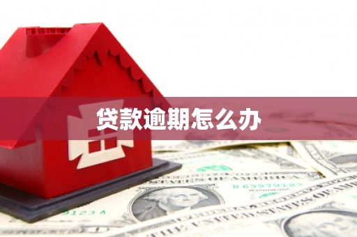 龙沙贷款逾期怎么办