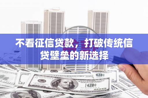 龙沙不看征信贷款，打破传统信贷壁垒的新选择