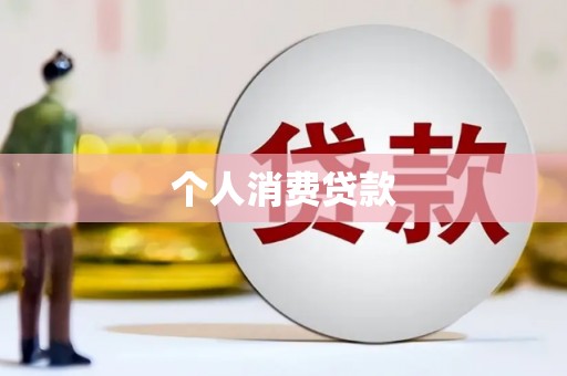 龙沙个人消费贷款