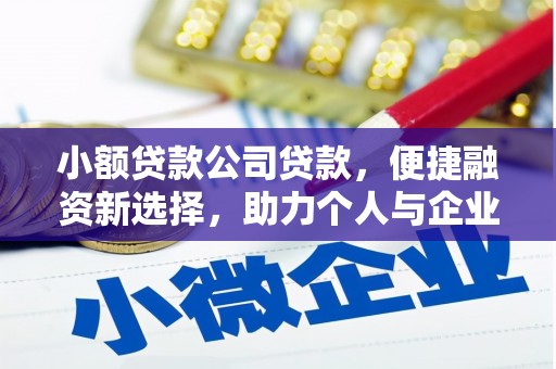 龙沙小额贷款公司贷款，便捷融资新选择，助力个人与企业成长