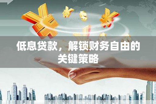 龙沙低息贷款，解锁财务自由的关键策略