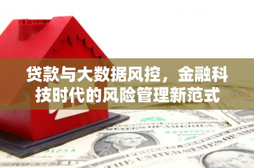 龙沙贷款与大数据风控，金融科技时代的风险管理新范式