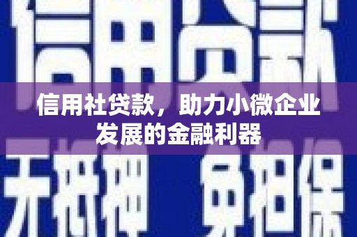 龙沙信用社贷款，助力小微企业发展的金融利器