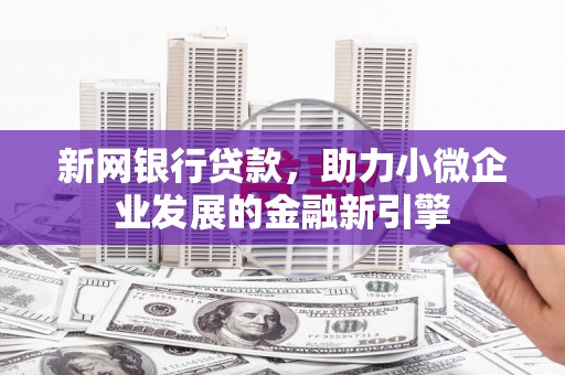 龙沙新网银行贷款，助力小微企业发展的金融新引擎