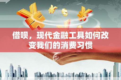 龙沙借呗，现代金融工具如何改变我们的消费习惯
