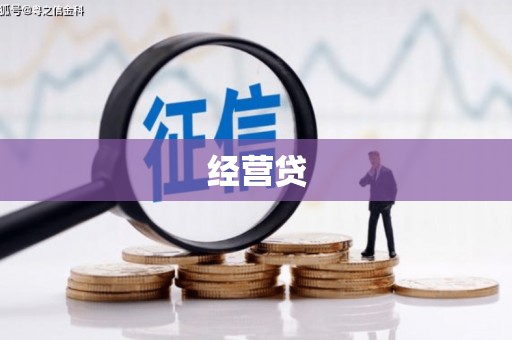 龙沙经营贷