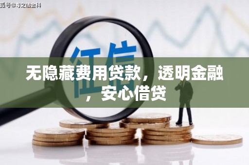 龙沙无隐藏费用贷款，透明金融，安心借贷