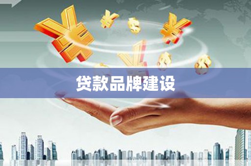 龙沙贷款品牌建设