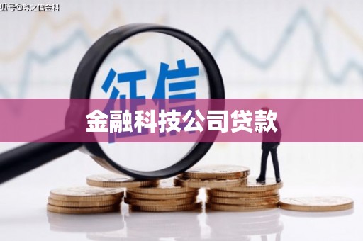 龙沙金融科技公司贷款