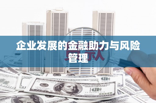 龙沙企业发展的金融助力与风险管理