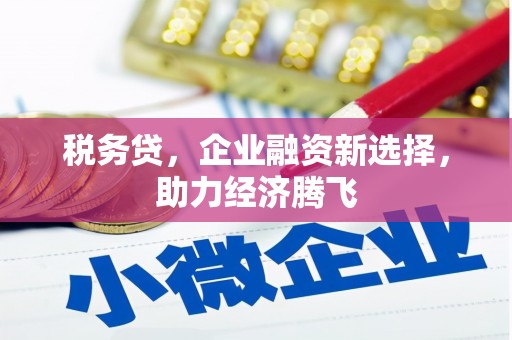 龙沙税务贷，企业融资新选择，助力经济腾飞