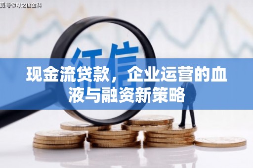 龙沙现金流贷款，企业运营的血液与融资新策略