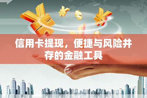 龙沙信用卡提现，便捷与风险并存的金融工具