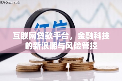 龙沙互联网贷款平台，金融科技的新浪潮与风险管控
