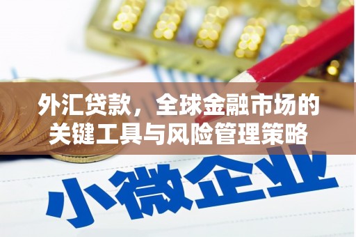 龙沙外汇贷款，全球金融市场的关键工具与风险管理策略