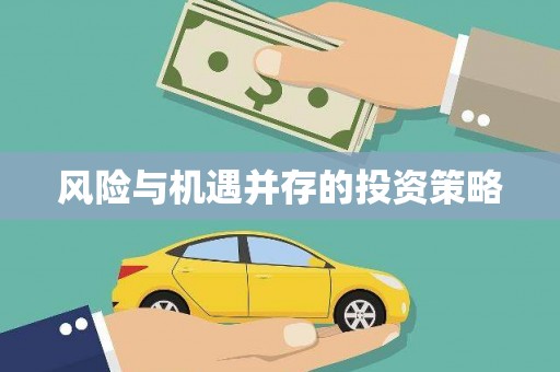 龙沙风险与机遇并存的投资策略