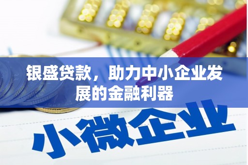 龙沙银盛贷款，助力中小企业发展的金融利器