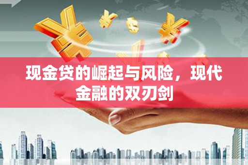 龙沙现金贷的崛起与风险，现代金融的双刃剑