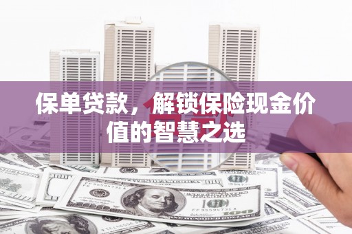 龙沙保单贷款，解锁保险现金价值的智慧之选