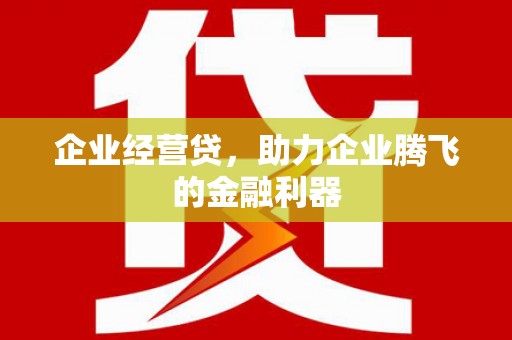 龙沙企业经营贷，助力企业腾飞的金融利器