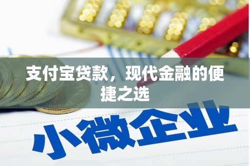 龙沙支付宝贷款，现代金融的便捷之选
