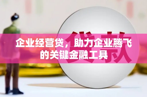 龙沙企业经营贷，助力企业腾飞的关键金融工具