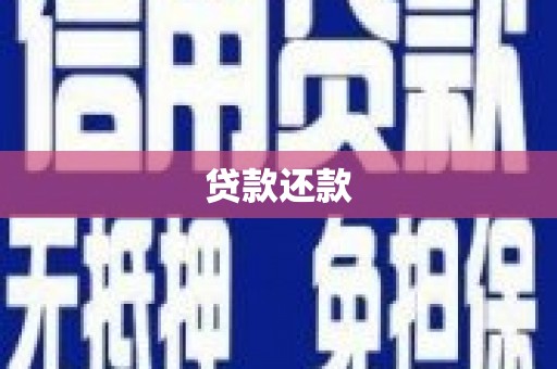 龙沙贷款还款