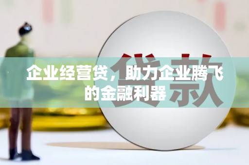 龙沙企业经营贷，助力企业腾飞的金融利器