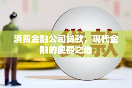 龙沙消费金融公司贷款，现代金融的便捷之选
