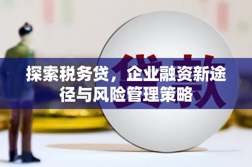 龙沙探索税务贷，企业融资新途径与风险管理策略