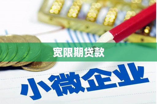龙沙宽限期贷款