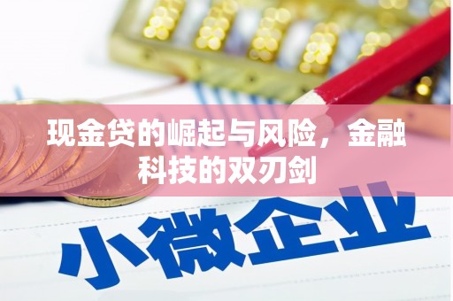 龙沙现金贷的崛起与风险，金融科技的双刃剑