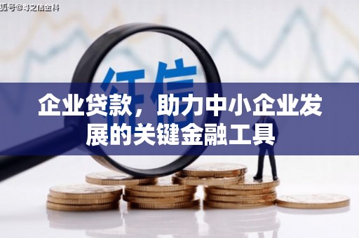 龙沙企业贷款，助力中小企业发展的关键金融工具