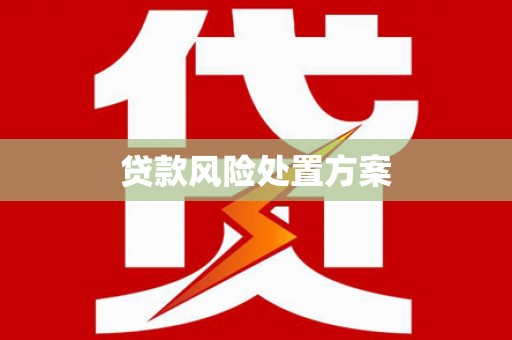 龙沙贷款风险处置方案