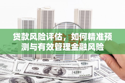 龙沙贷款风险评估，如何精准预测与有效管理金融风险